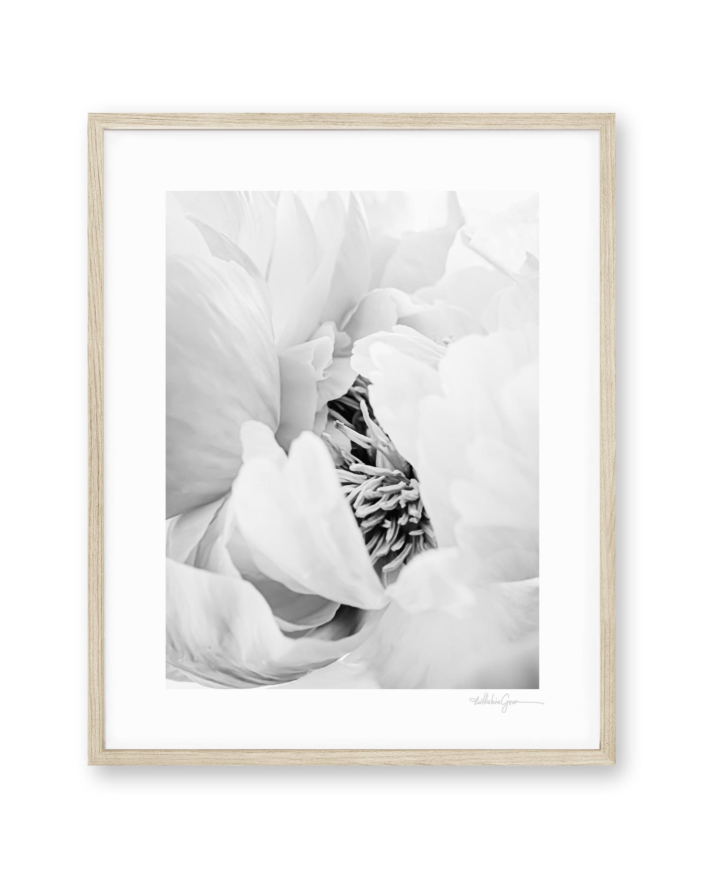 Heart of the Peony