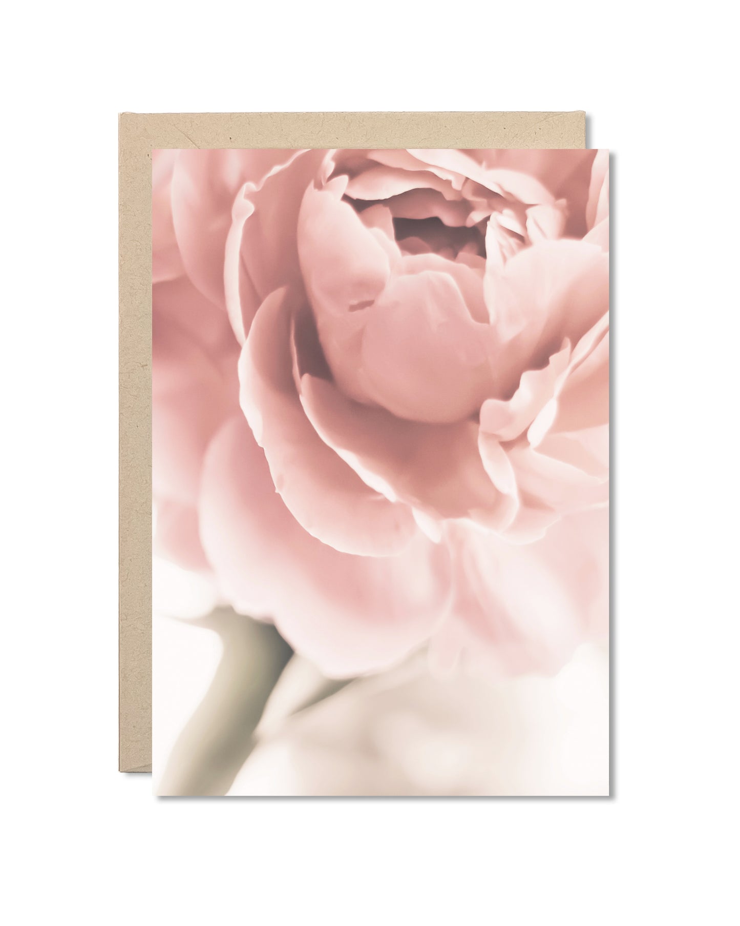 Card - Pink Peony