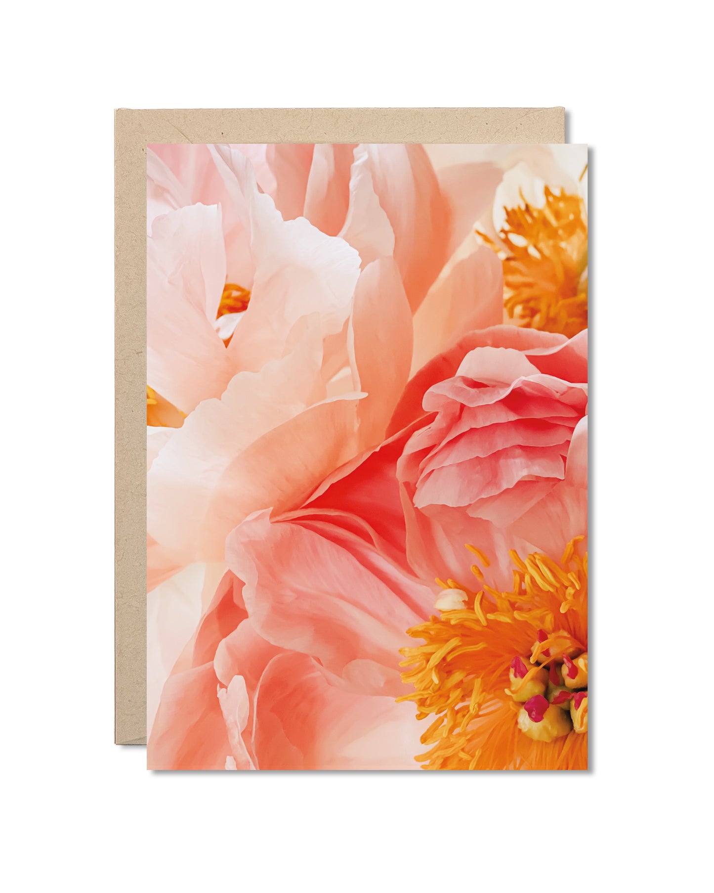 Card - Blush Peonies