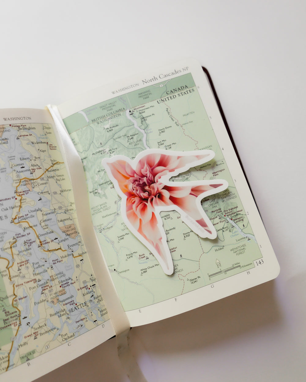 Sticker: Dahlia Songbird