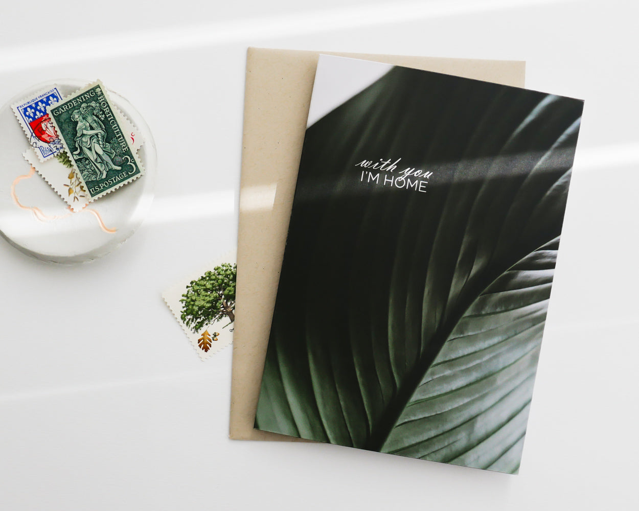 Card - Luminous Leaf Home