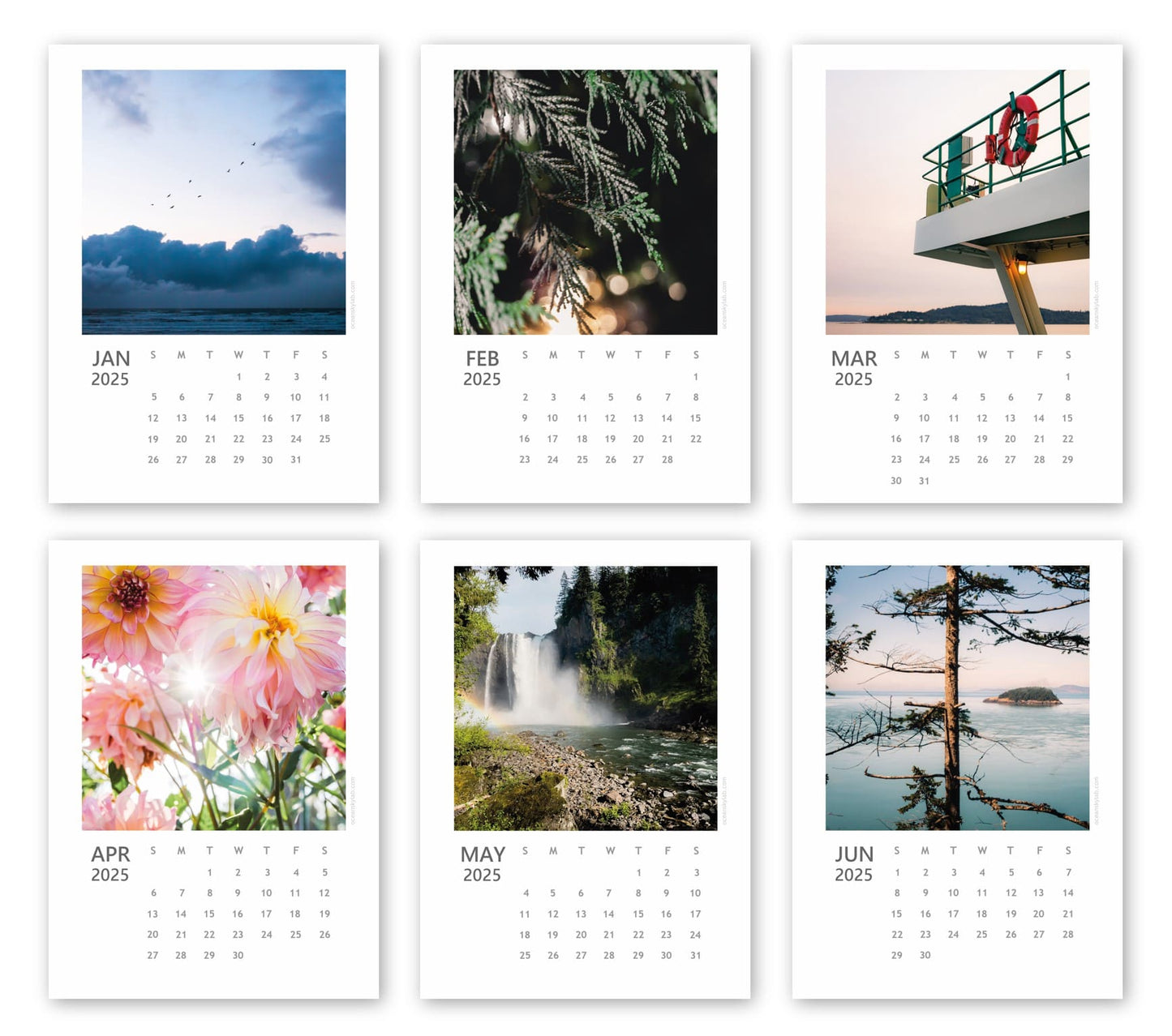 2025 PNW Desk Calendar
