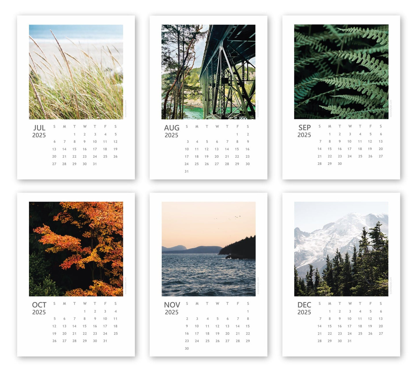2025 PNW Desk Calendar