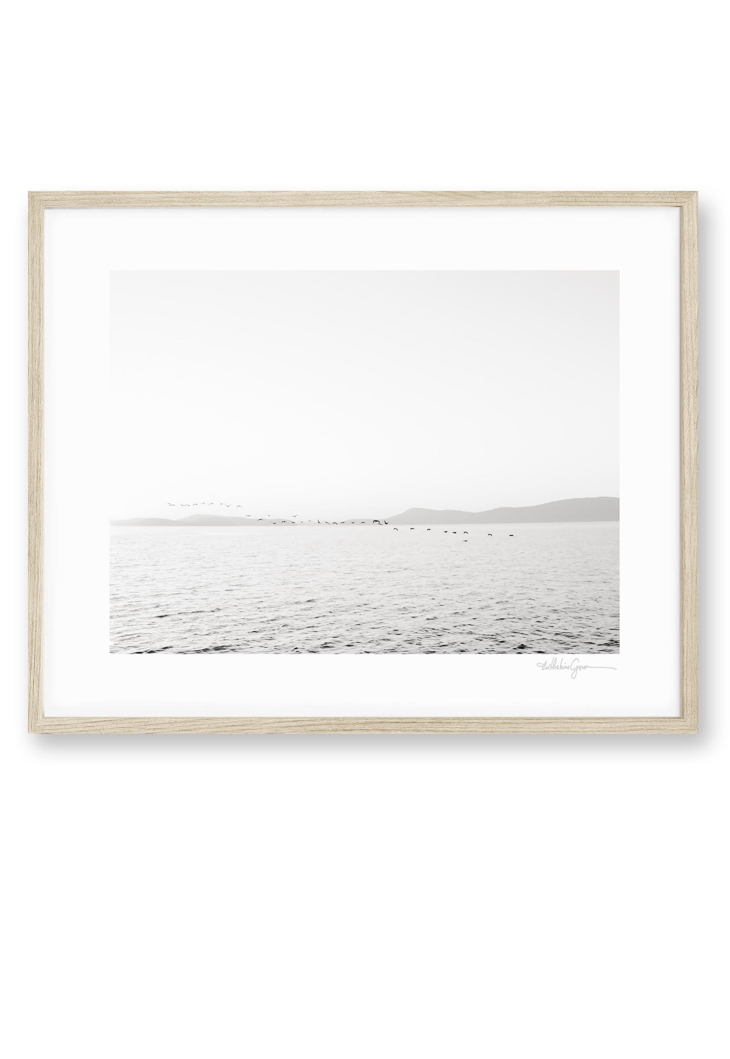 Eternity - Puget Sound PNW