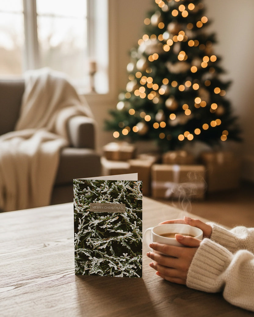 Card - Merry Christmas Frost