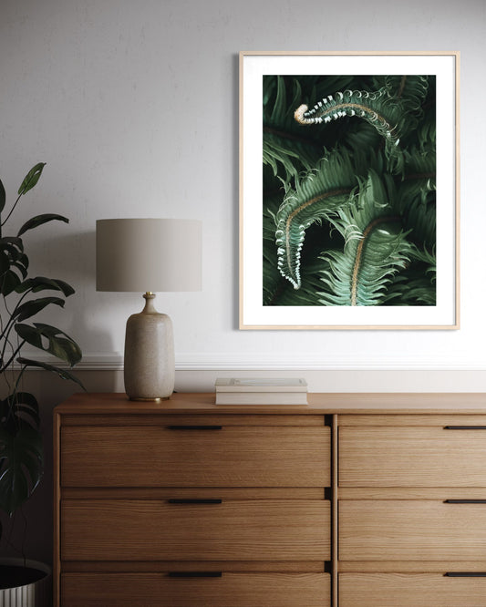 Awakening Ferns