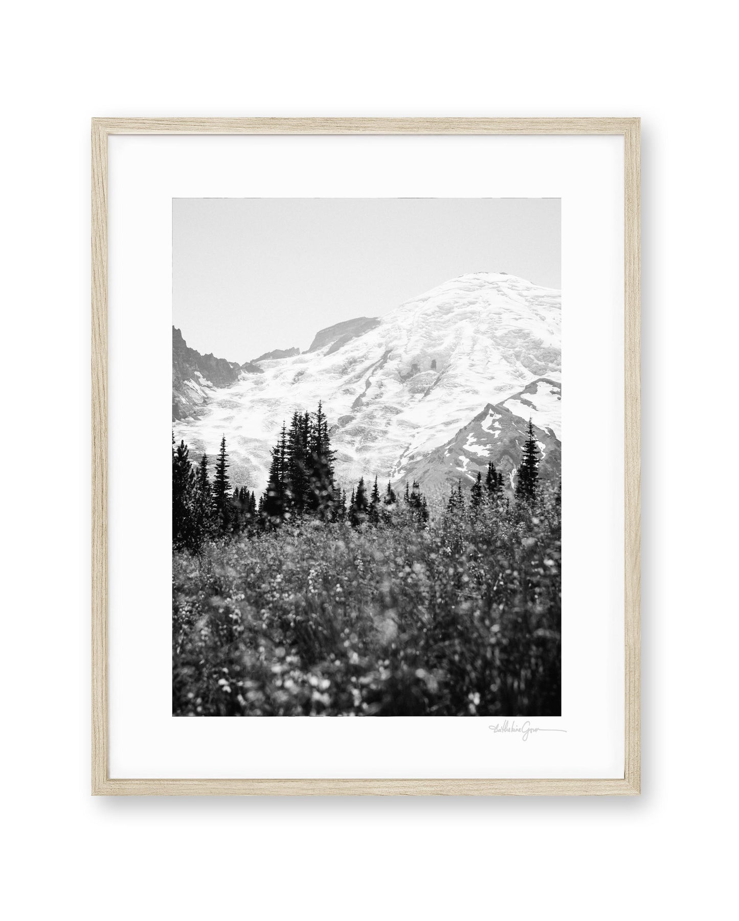Mount Rainier in Bloom