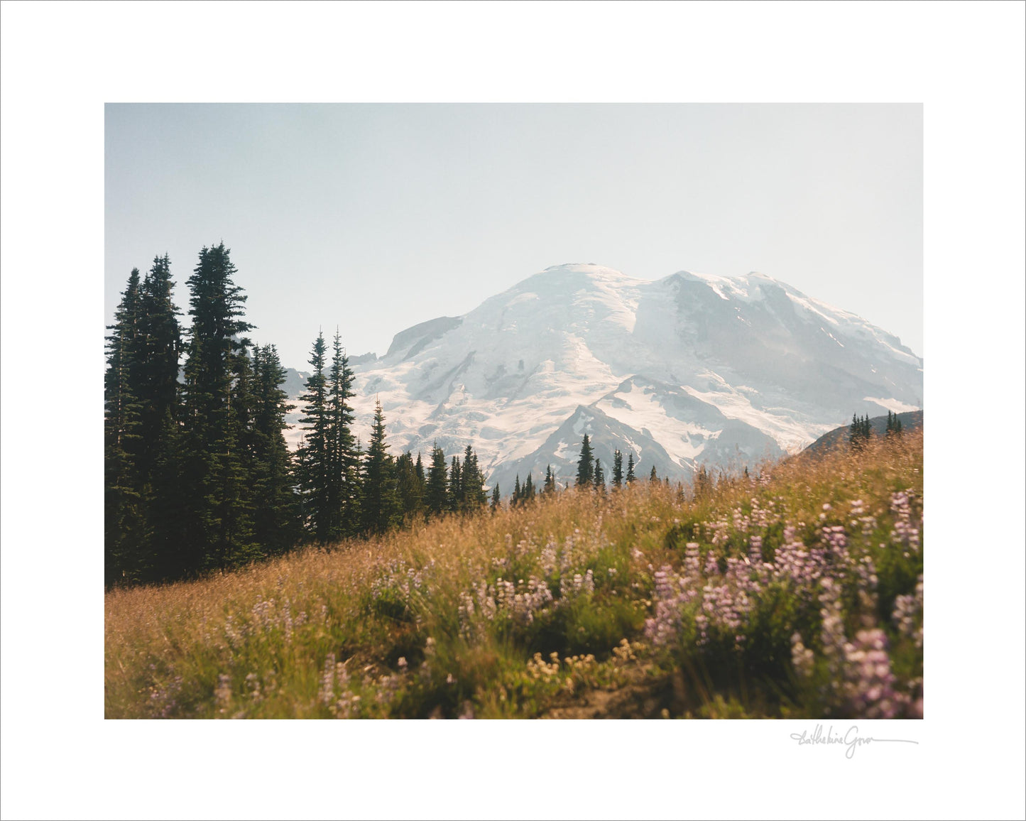 Mount Rainier in bloom II (film)