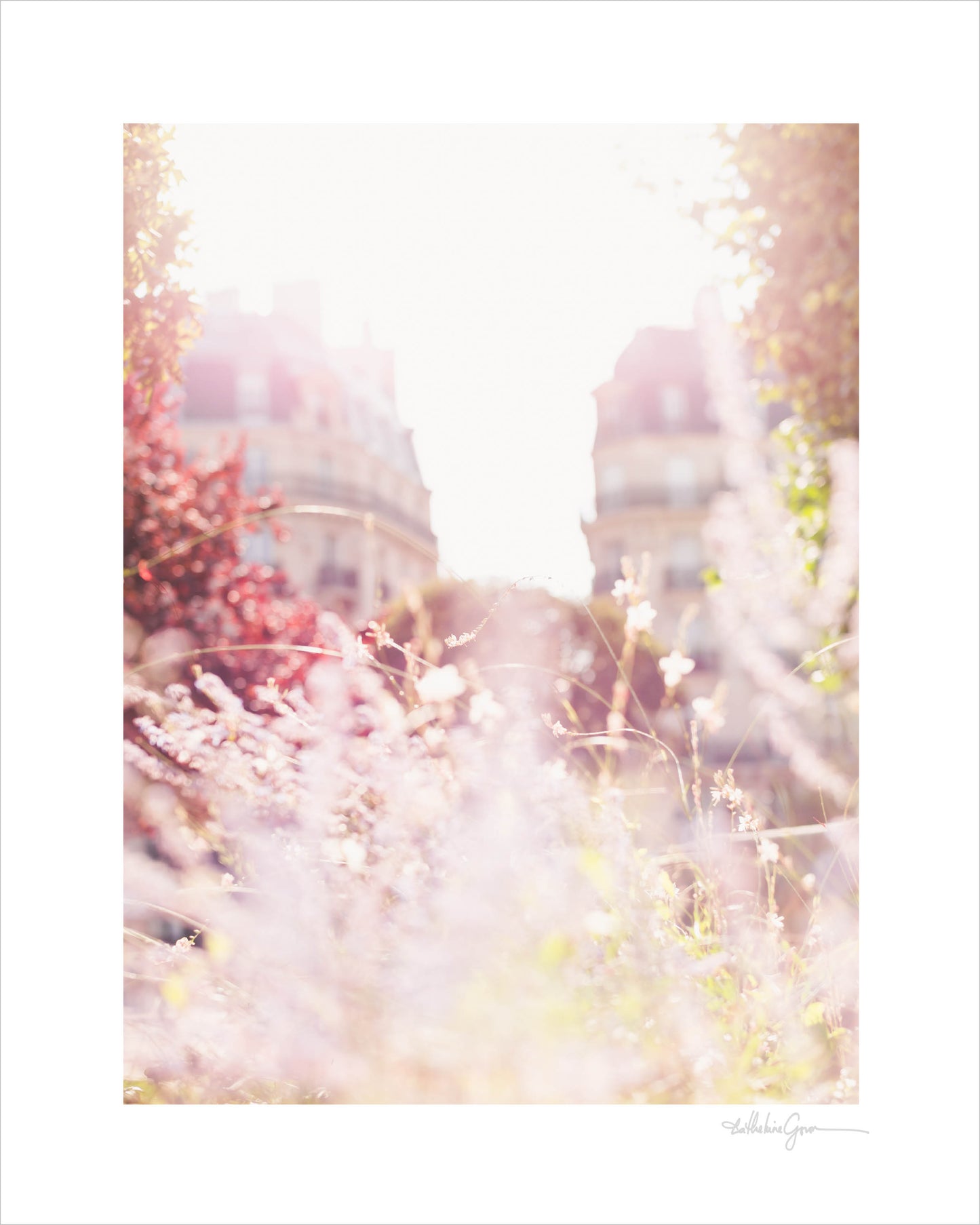 Luminous Paris
