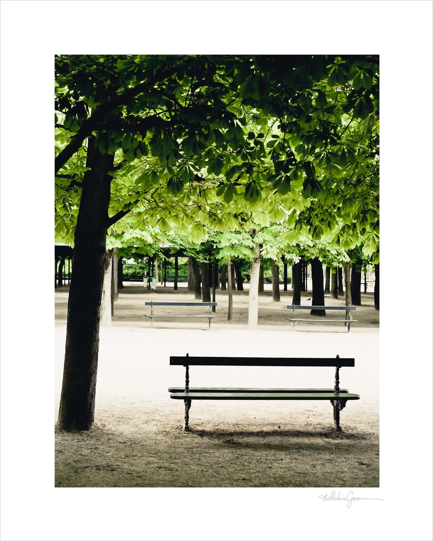 Quiet Spring Morning - Luxembourg Gardens