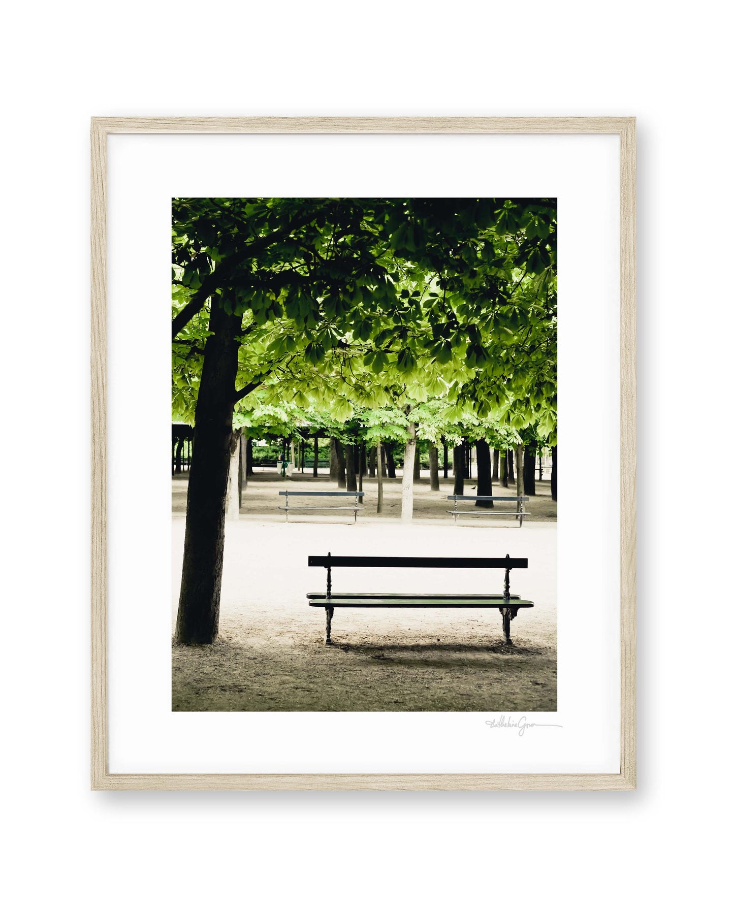 Quiet Spring Morning - Luxembourg Gardens