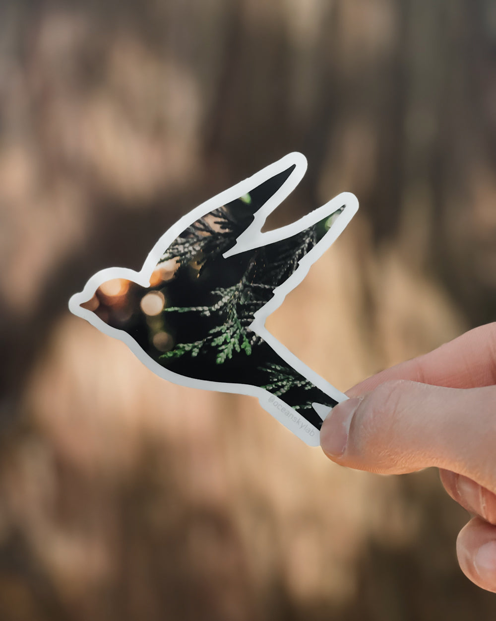 Sticker: Cedar Sunset Songbird