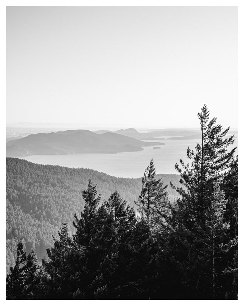 Openness - San Juan Islands