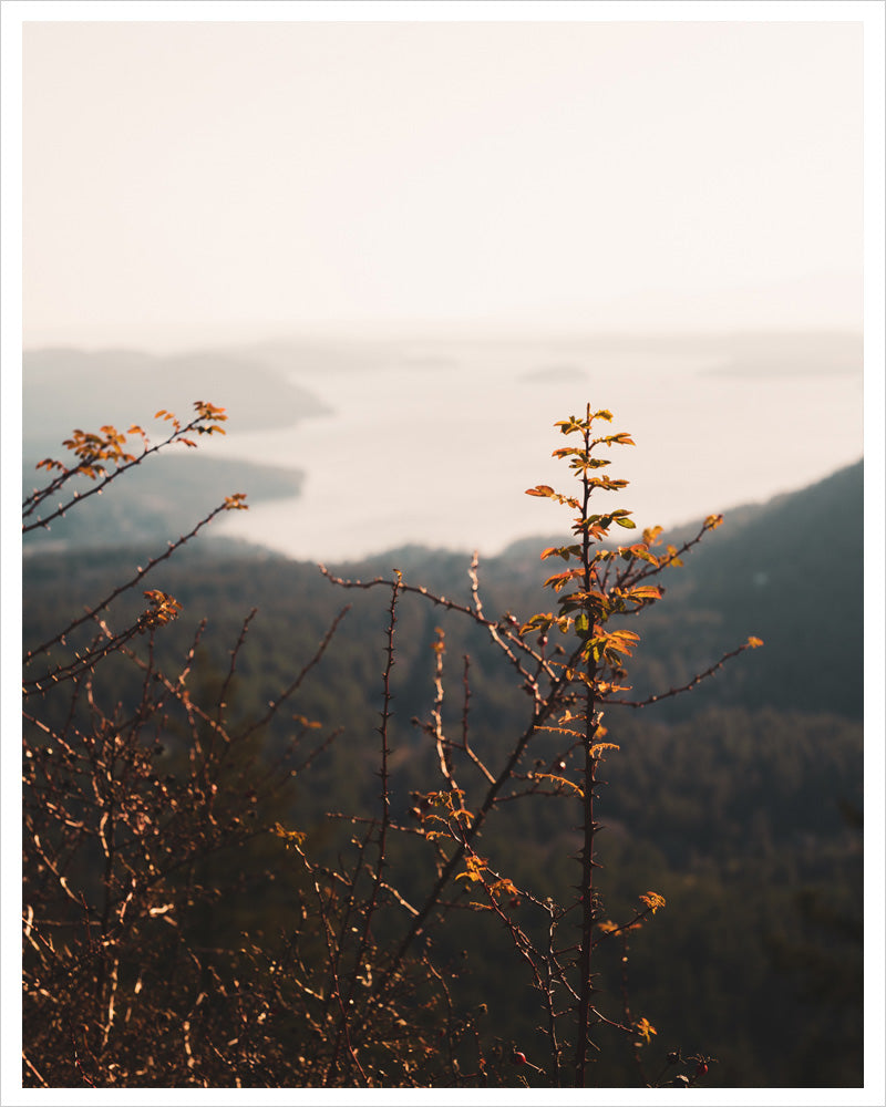 Sunset on the Salish Sea