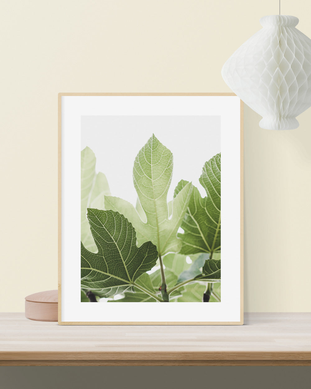 Luminous Fig Leaves
