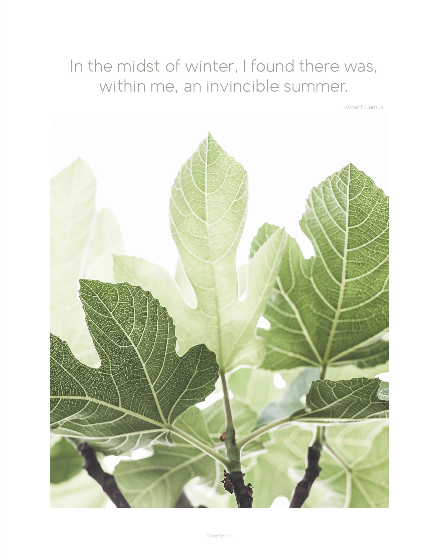 Quote Print: Invincible Summer