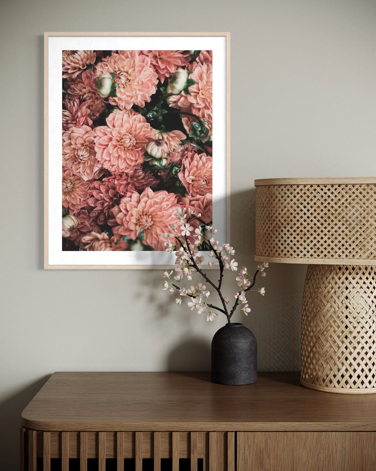 Dahlia Blooms