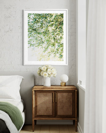 Olive Tree Branches