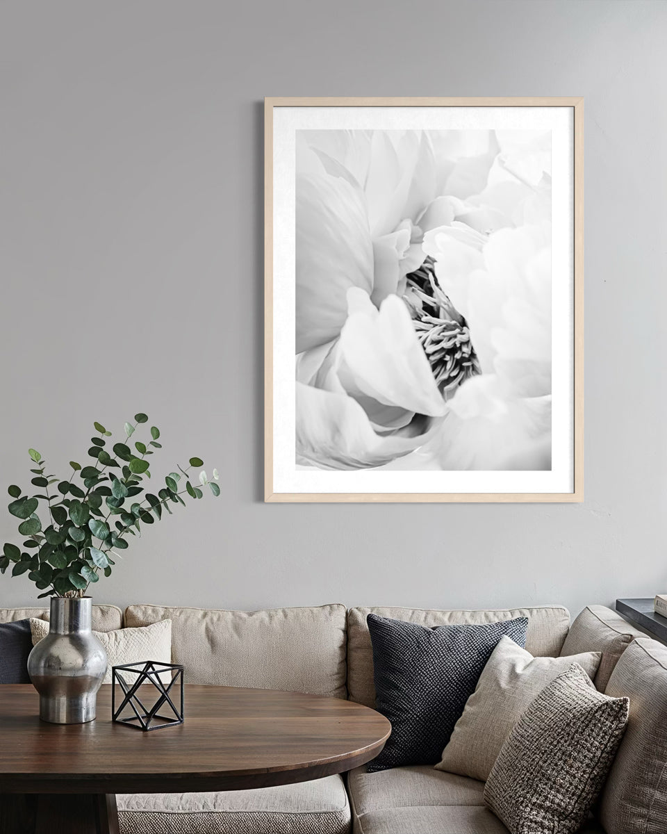 Heart of the Peony