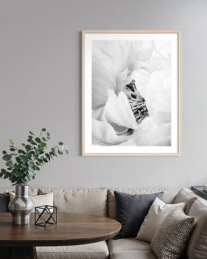 Heart of the Peony