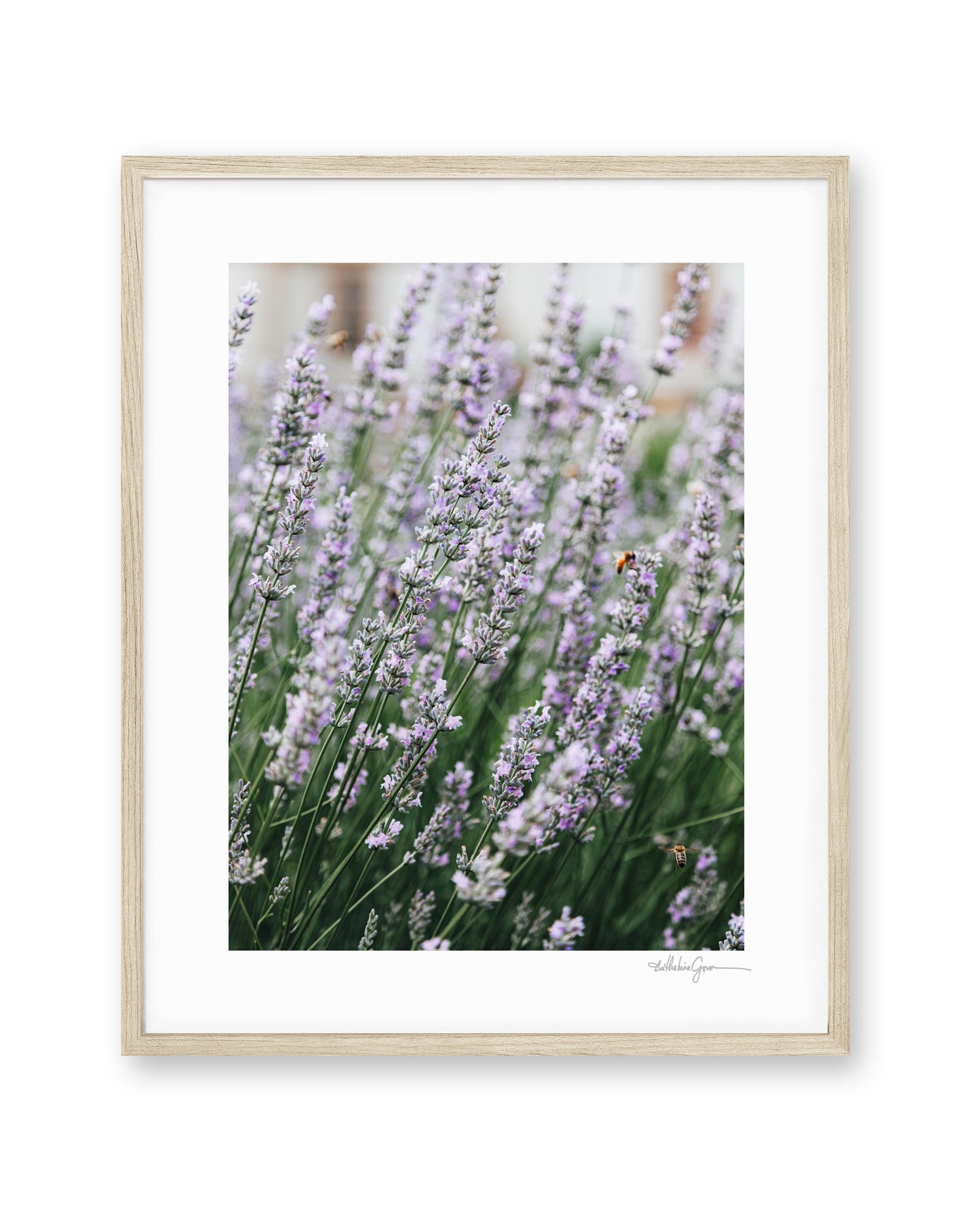Lavender & Honey Bees