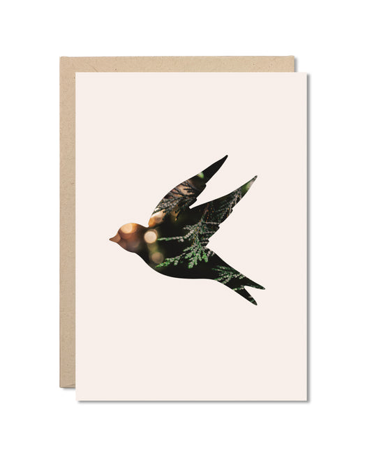 Card - Cedar Sunset Songbird