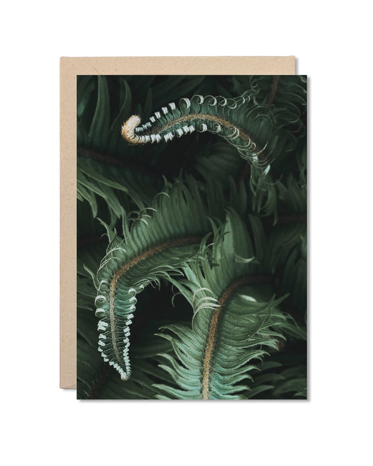 Card - Awakening Ferns