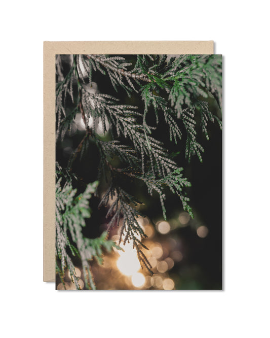 Card - Luminous Cedar