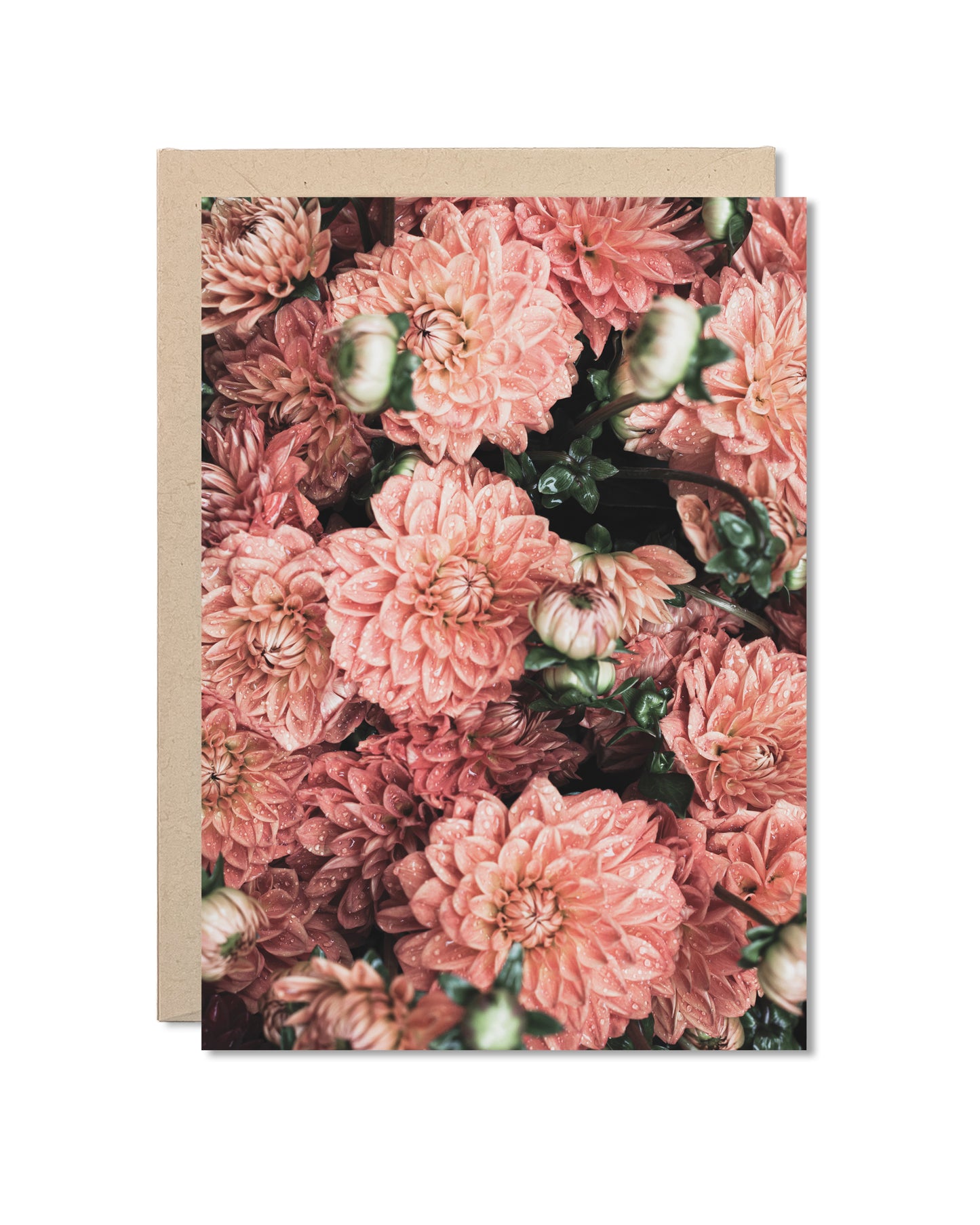 Card - Dahlias