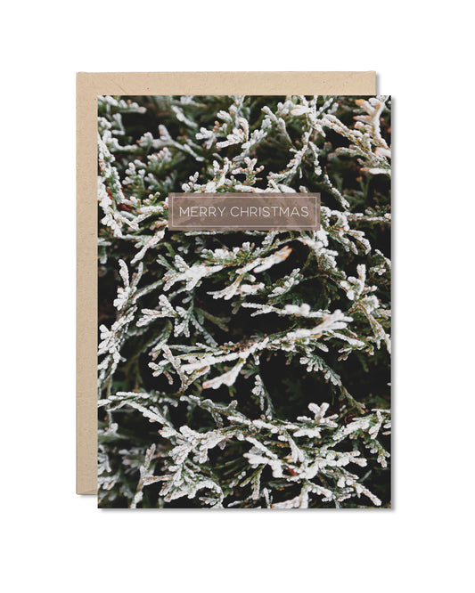 Card - Merry Christmas Frost