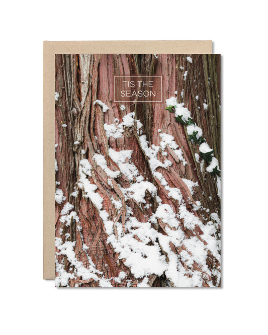 Card - Tis the Snowy Season