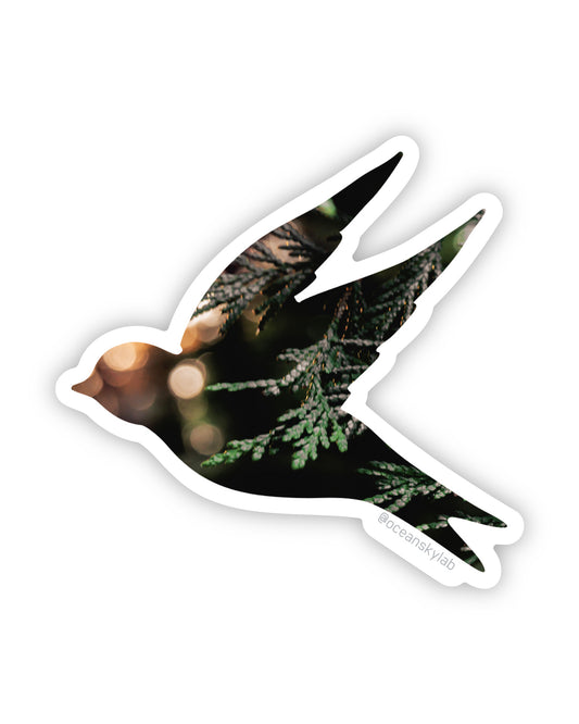 Sticker: Cedar Sunset Songbird
