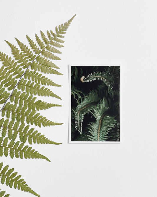 Sticker: Awakening Ferns