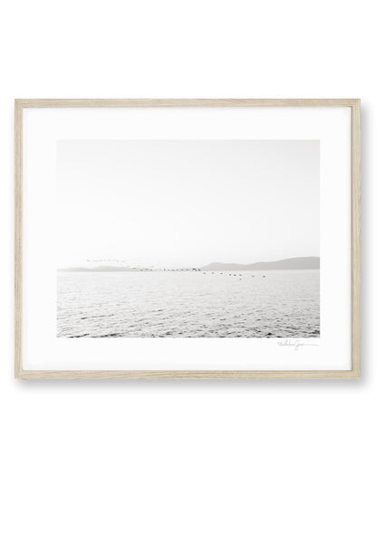 Eternity - Puget Sound PNW