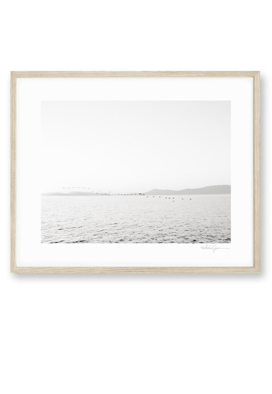 Eternity - Puget Sound PNW
