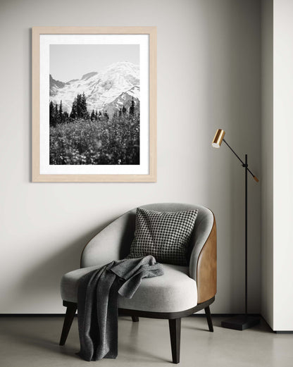 Mount Rainier in Bloom