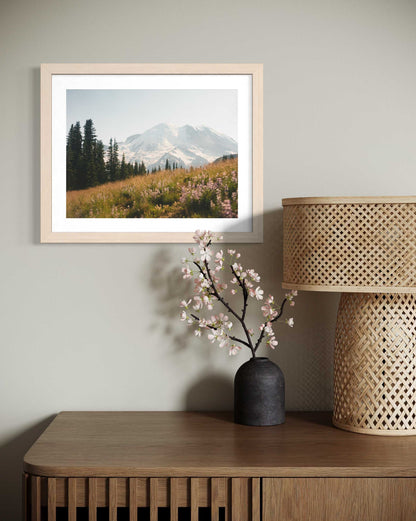 Mount Rainier in bloom II (film)