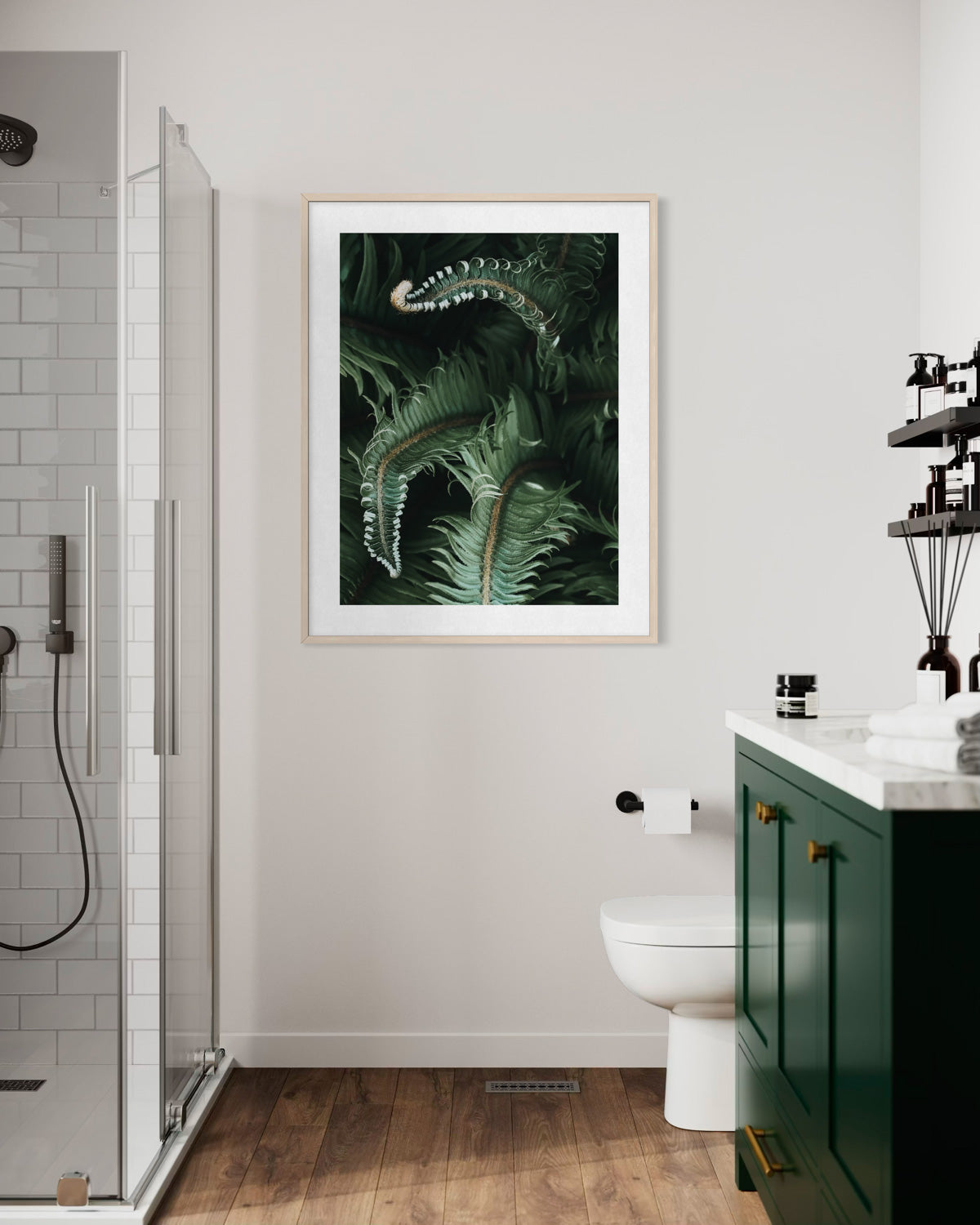 Awakening Ferns