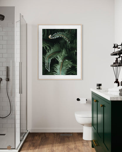 Awakening Ferns