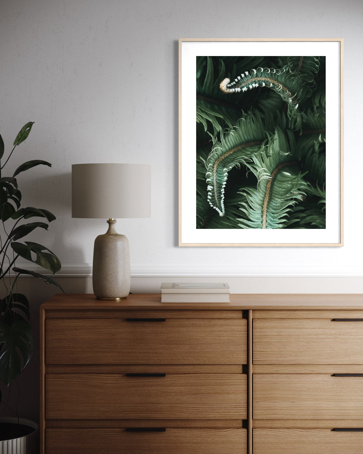 Awakening Ferns