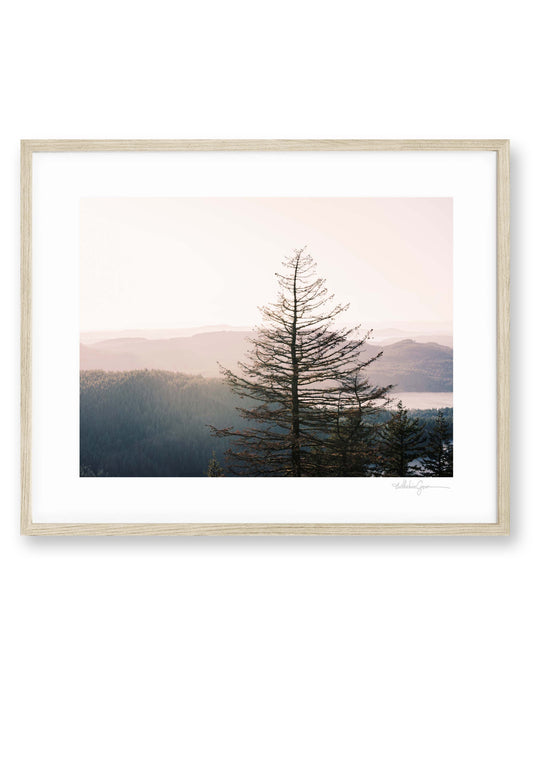 Luminous San Juans