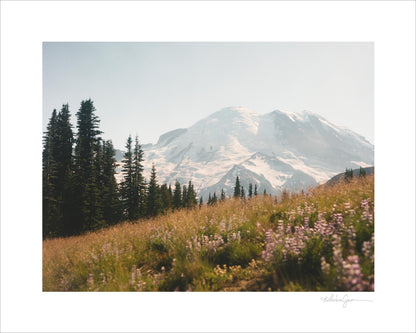 Mount Rainier in bloom II (film)