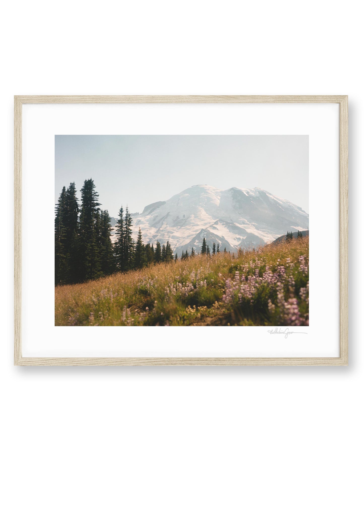 Mount Rainier in bloom II (film)