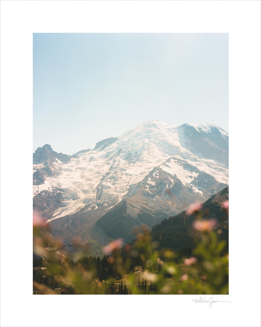 Mount Rainier in bloom I (film)