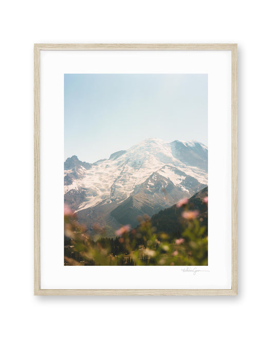 Mount Rainier in bloom I (film)