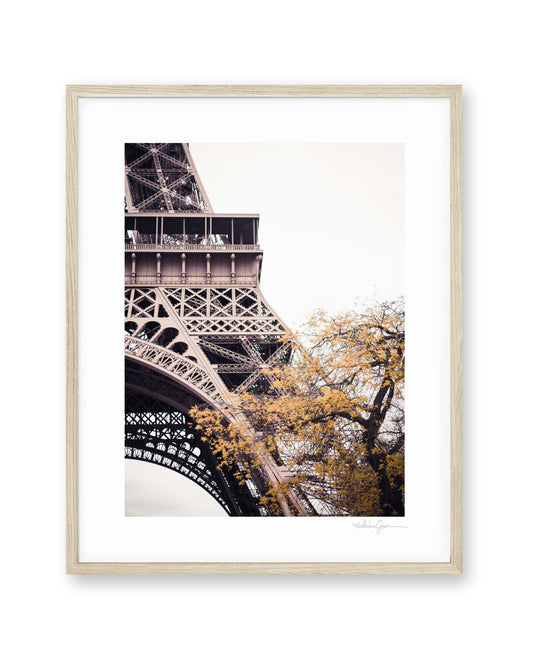 Eiffel in Autumn
