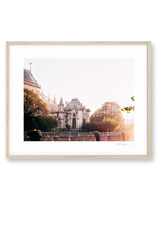 Luminous Notre Dame