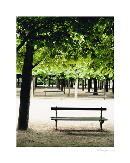 Quiet Spring Morning - Luxembourg Gardens