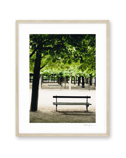 Quiet Spring Morning - Luxembourg Gardens
