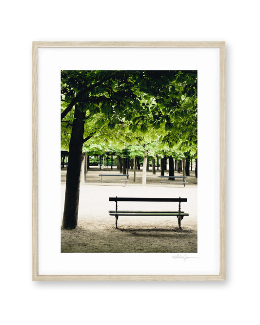 Quiet Spring Morning - Luxembourg Gardens